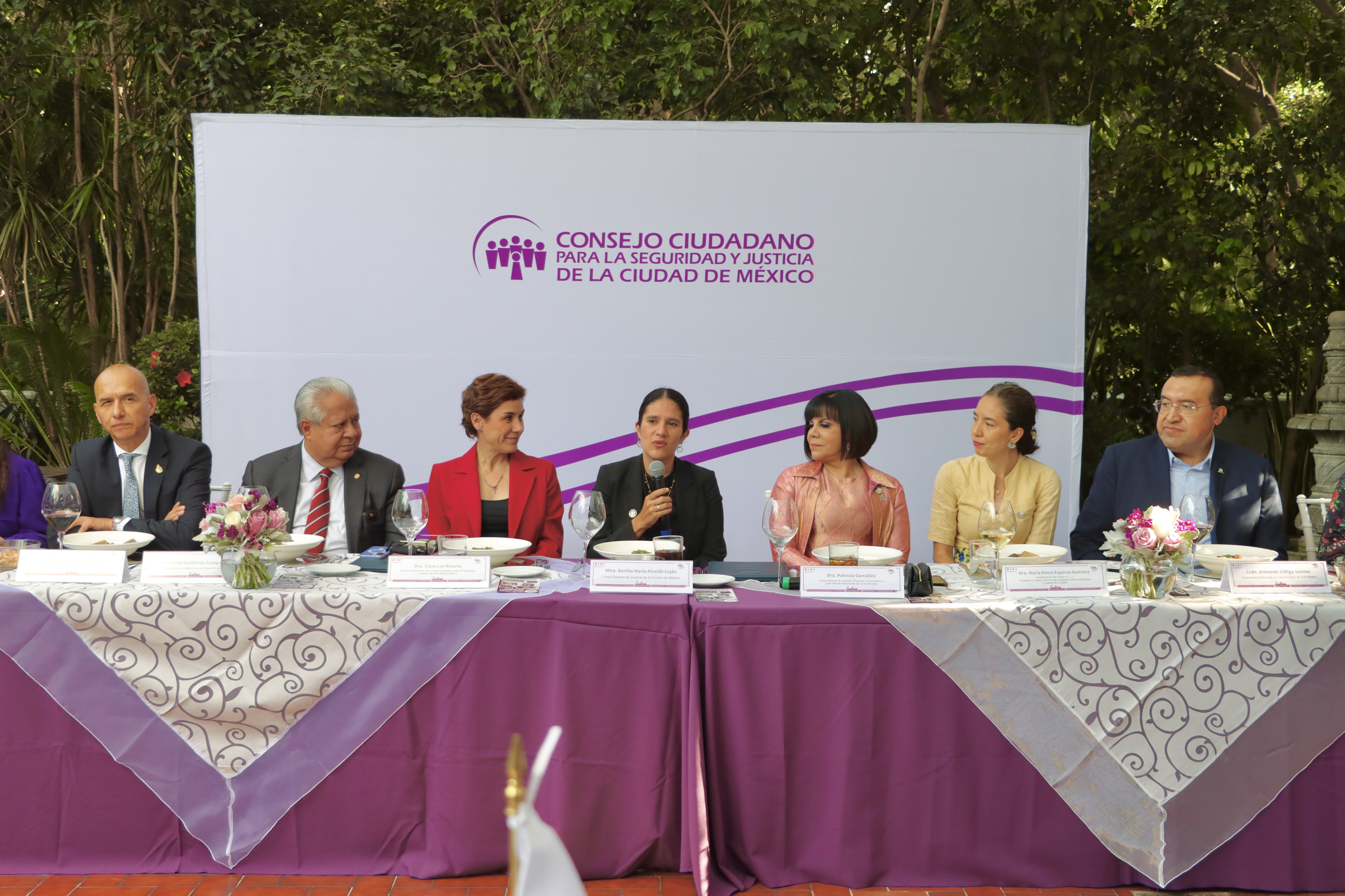 Consejo Ciudadano Para La Seguridad y Justicia de La Ciudad de México