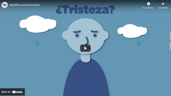 REFUERZA CONSEJO ATENCIONES DE SALUD MENTAL ANTE PANDEMIA