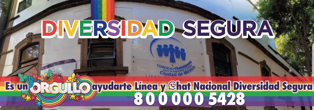 Diversidad Segura Reporte junio 2021