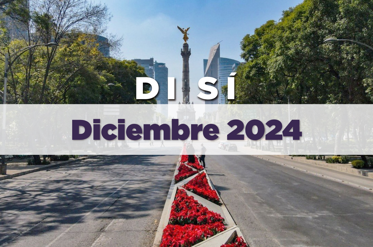 Incidencia Delictiva Diciembre 2024
